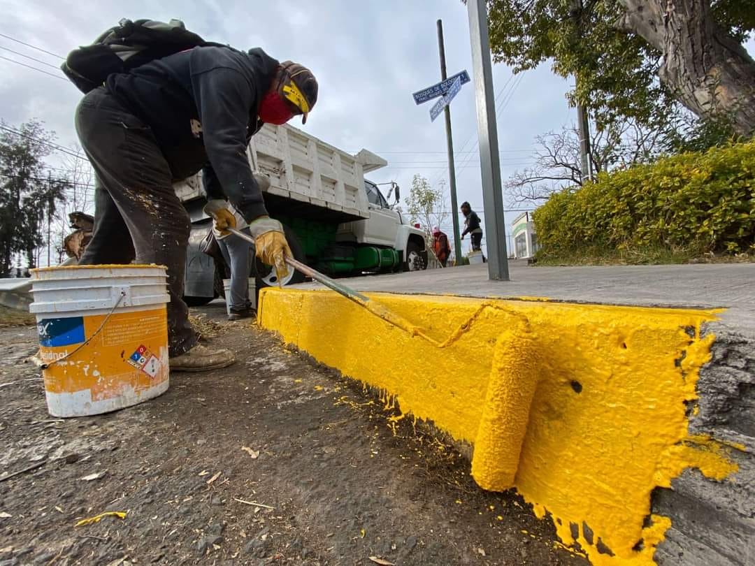 Poda de arboles - Karla Fiesco