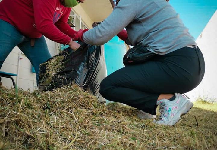 Jornada de poda y limpia en kinder de Urbi Quinta Montecarlo