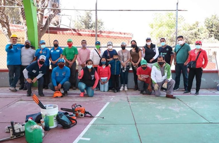 Jornada de Poda y Limpia en primaria de Cumbria  organiza Paco Rojas