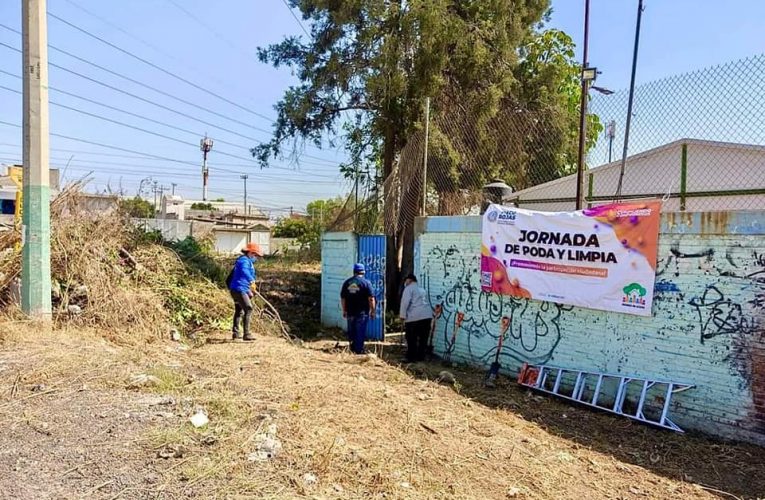 Se realiza jornada de Poda y limpia en jardín de niños de San Martín Tepetlixpan