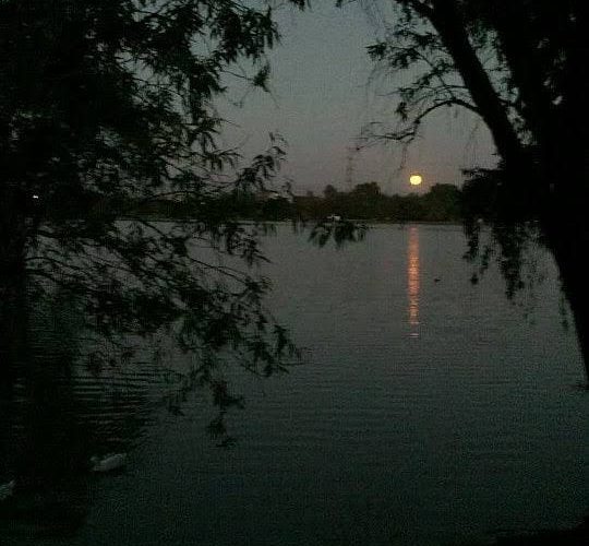 Refieren que por las tardes asaltan en Espejo de los Lirios