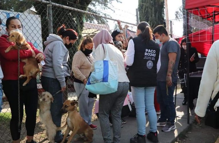 Jornada de Esterilización de mascotas en Valle de la Hacienda organizó Paco Rojas